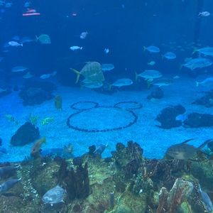 Meet your Posher, Stefanie